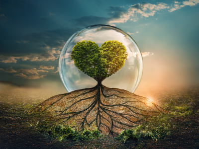 Journ&eacute;e de la Terre