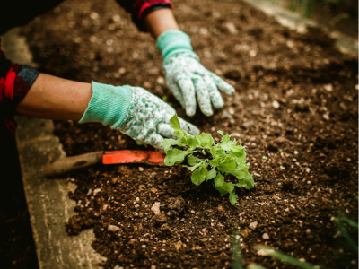 Atelier de jardinage-EN PR&Eacute;SENTIEL
