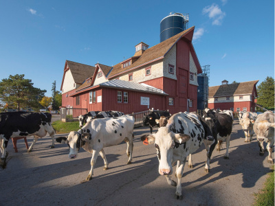 Visite guid&eacute;e du mus&eacute;e de l'agriculture et de l'alimentation du Canada&ndash; EN PR&Eacute;SENTIEL